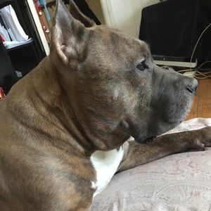 Meet your Posher, Sonia